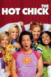 The Hot Chick (2002) ว้าย!…สาวฮ็อตกลายเป็นนายเห่ย