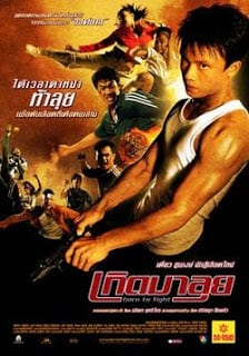 Born to Fight (2004) เกิดมาลุย