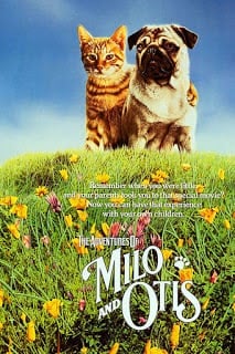 The Adventures of Milo and Otis (1986) แมวจ๋าหมาอยู่นี่