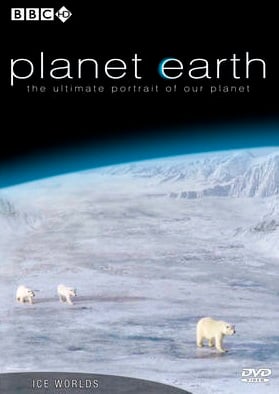 Planet Earth 6 Ice Worlds มุ่งสู่แดนน้ำแข็ง