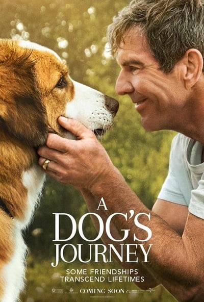 A Dog’s Journey (2019) หมา เป้าหมาย และเด็กชายของผม 2