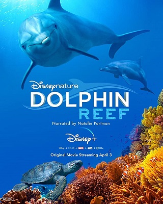 Dolphin Reef (2020) Disney+ อัศจรรย์ชีวิตของโลมา