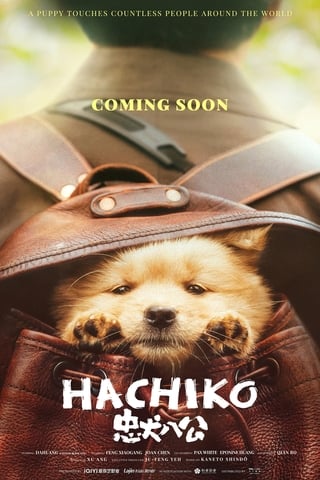 Hachiko (2023) ฮาจิโกะ