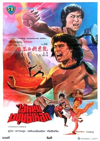 The Shaolin Avengers (1976) ไอ้หนุ่มมนุษย์เหล็ก