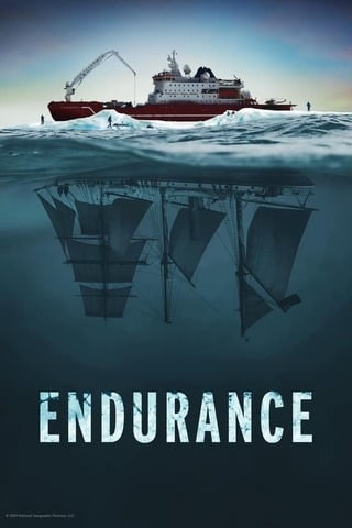 Endurance (2024)